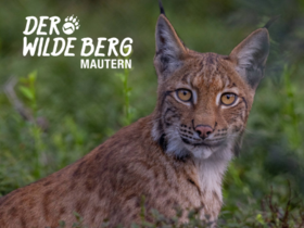 Der Wilde Berg Mautern | © Tintimax Photography